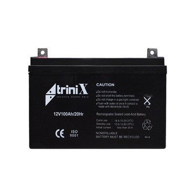 Trinix Акумулятор 12В 100А/г 25818 фото