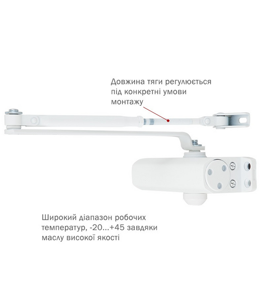Дотягувач дверей RYOBI 9903 glossy white 65 кг RY9903w фото