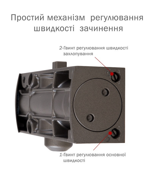 Дотягувач дверей RYOBI 1200 metallic bronze 80 кг RY1200br фото