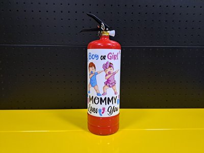 Boy or Girl - огнетушитель красный для гендер пати (2 кг) ses0414 фото