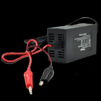 MERLION YT-CH-12200 Автоматичний ЗП для акумулятора 12V(5-20Ah) 29578 фото